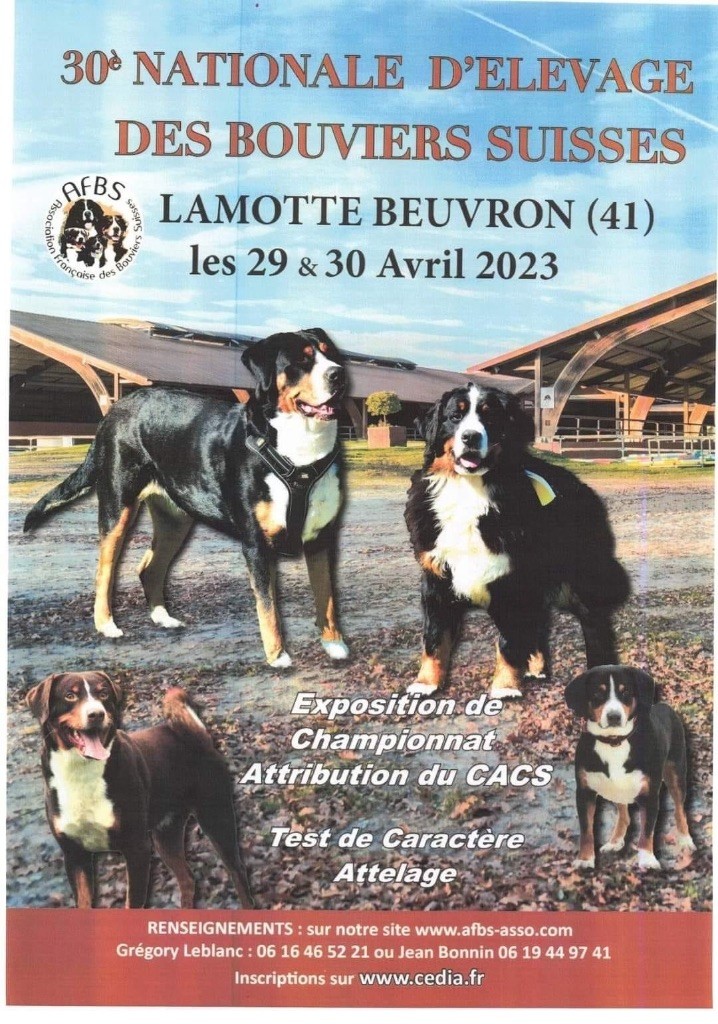 Du Verger Des Beaurepaires - Nationale d?élevage Bouvier suisse 2023