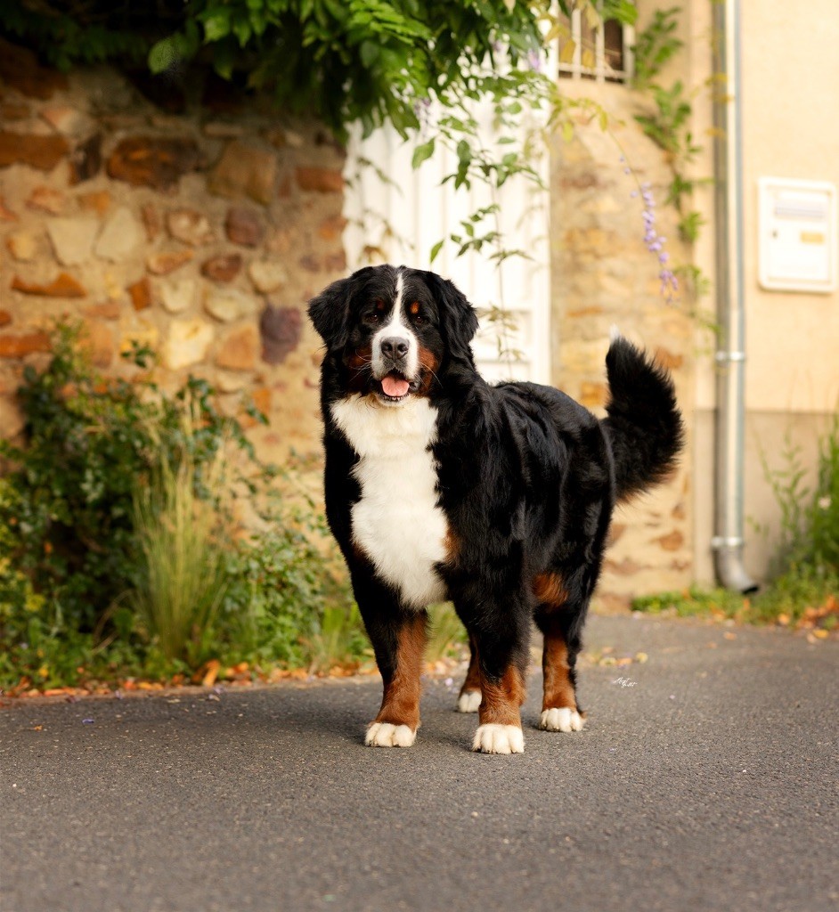 Rwen Du Verger Des Beaurepaires