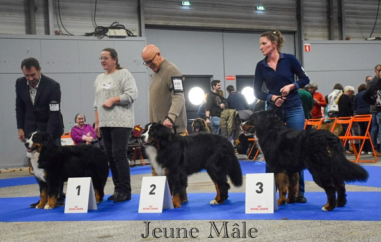 Du Verger Des Beaurepaires - Auwen du Verger des Beaurepaires