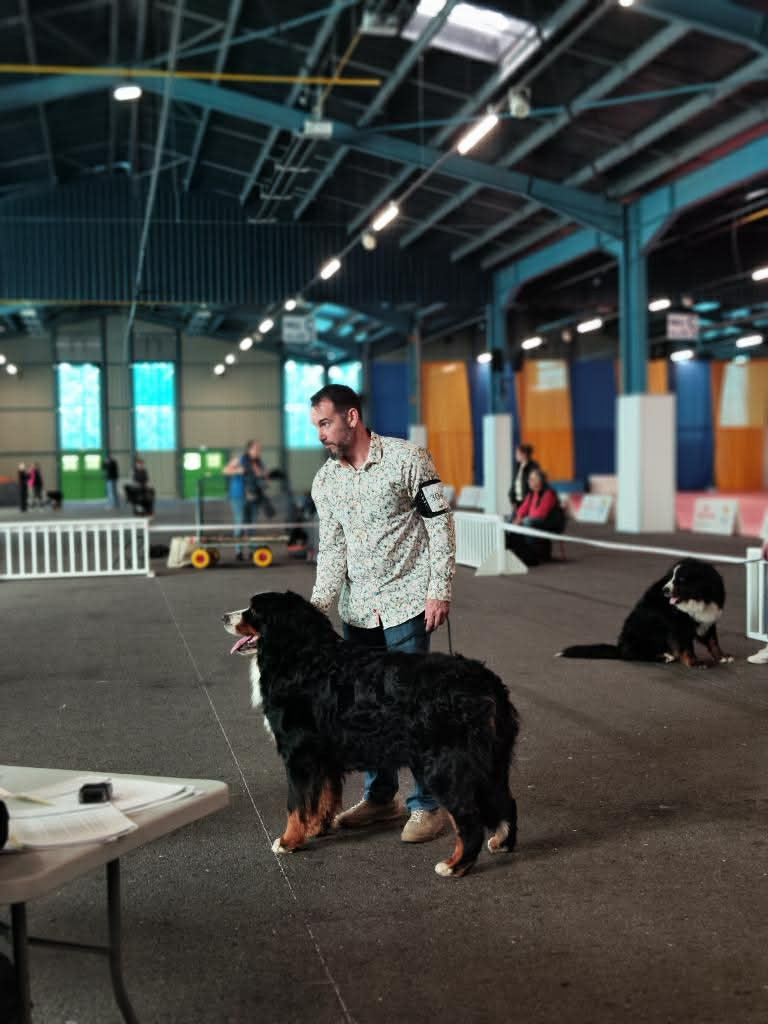 VERMONT DES EMPREINTES D UBO