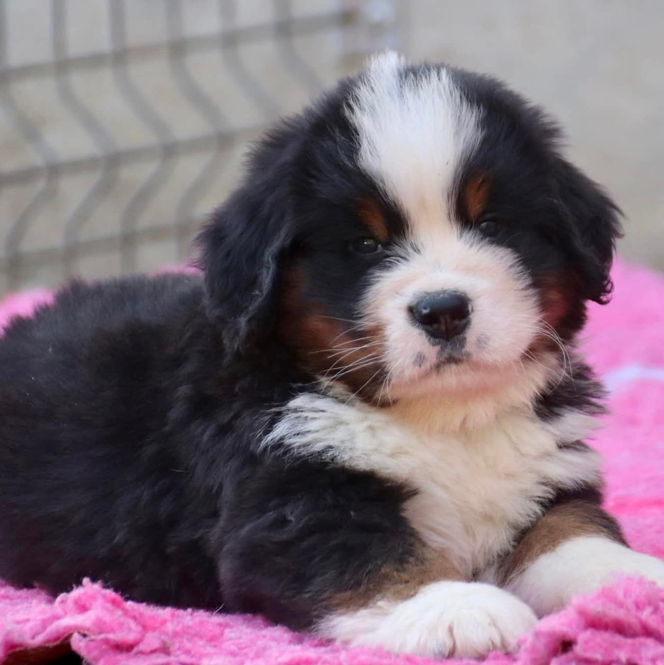 Naissances le 14 avril 2026