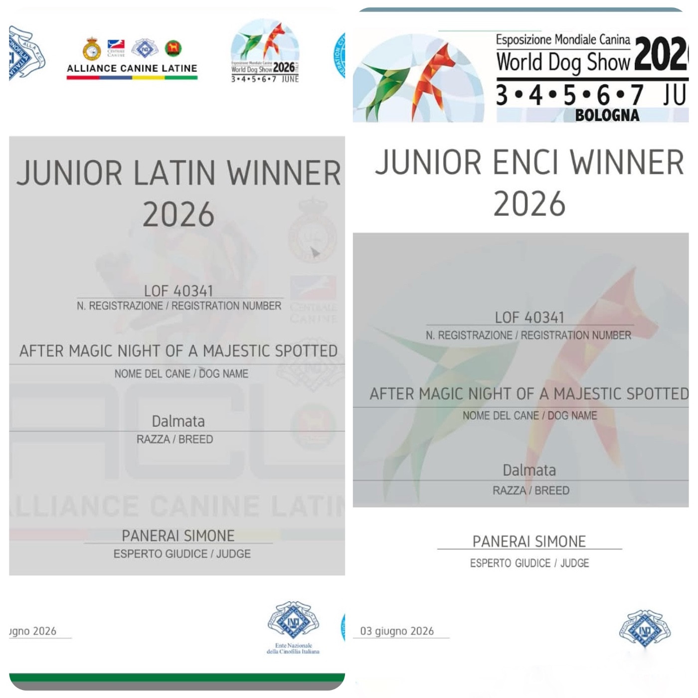  JUNIOR ENCI WINNER 2026 