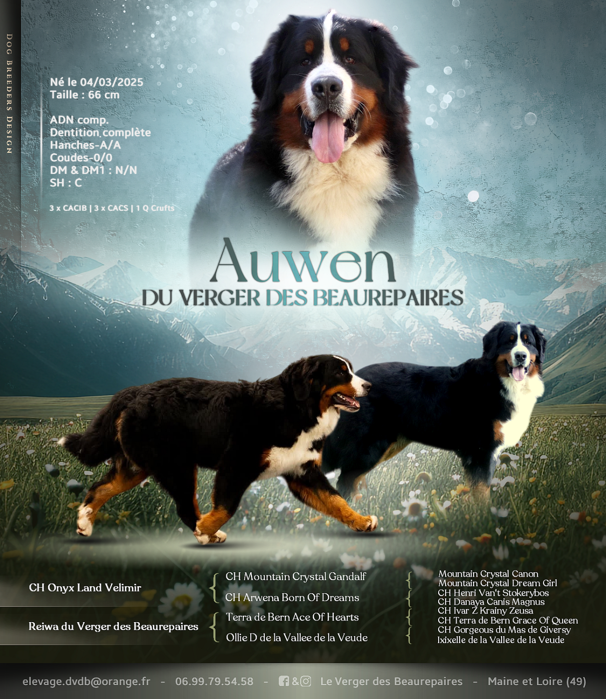 AUWEN DISPONIBLE POUR SAILLIE