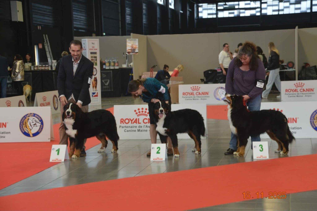 AUWEN DU VERGER DES BEAUREPAIRES 