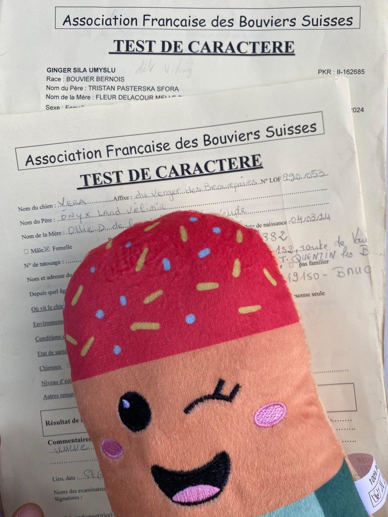 Tests de caractère OBTENUS 