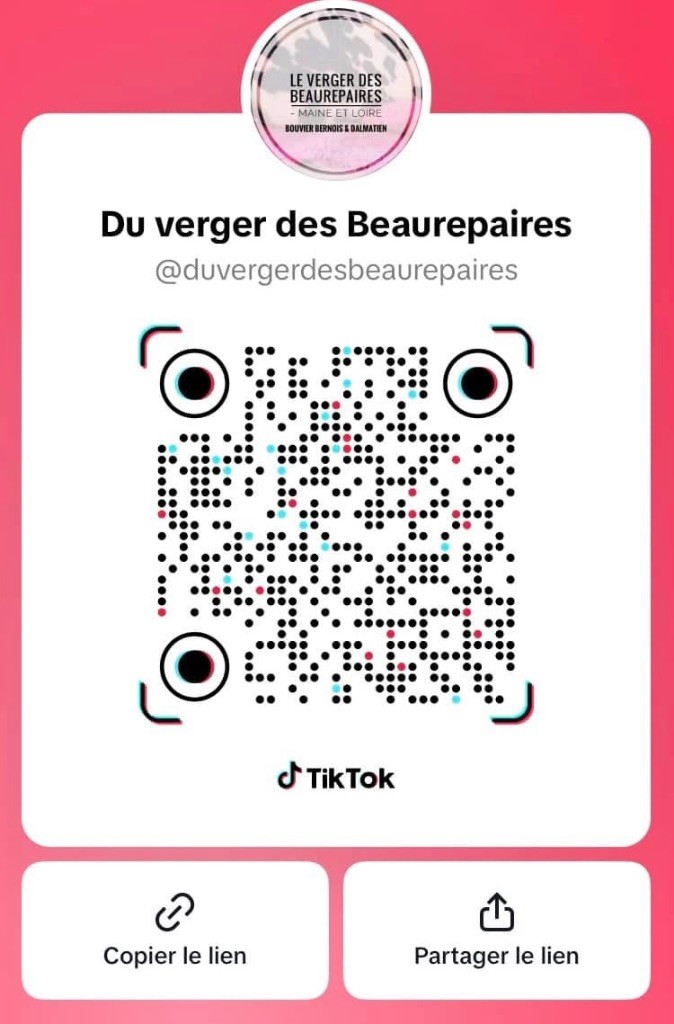 Tik tok