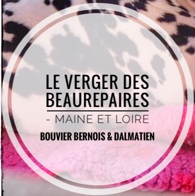 Du Verger Des Beaurepaires